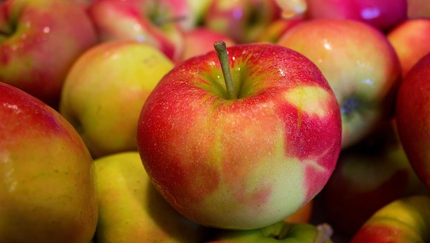Die Prognose für die Apfelernte 2021 sieht trotz allem gut aus Die Ernteschätzung ist mit Unsicherheiten behaftet. Ausserdem dürften äusserliche Qualitätsprobleme (Schorf, Frostringe) die vermarktbare Menge verkleinern. (Bild Pixabay)