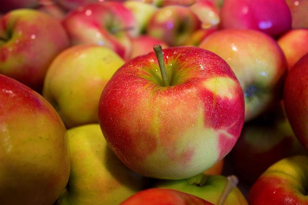 Die Prognose für die Apfelernte 2021 sieht trotz allem gut aus Die Ernteschätzung ist mit Unsicherheiten behaftet. Ausserdem dürften äusserliche Qualitätsprobleme (Schorf, Frostringe) die vermarktbare Menge verkleinern. (Bild Pixabay)