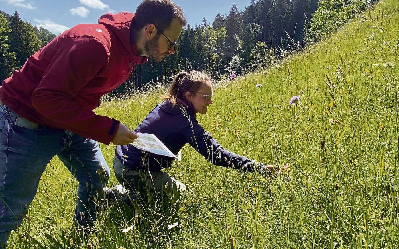 Beim zweiten Posten gibt Theres Rutz (FiBL) den Auftrag, bestimmte Pflanzenarten zu suchen und hilft dabei aktiv mit.