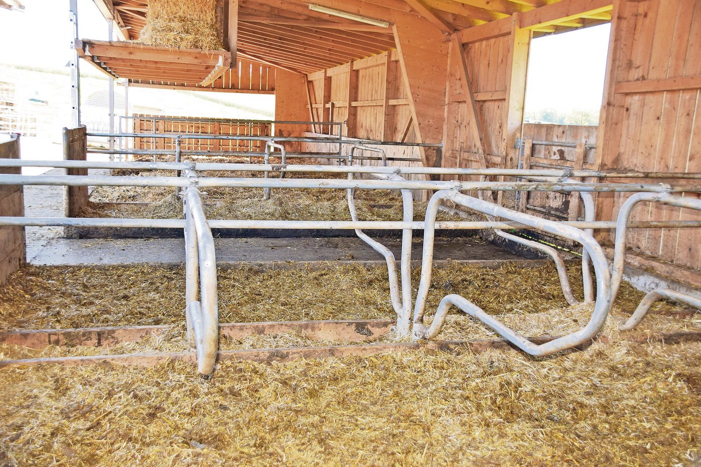 Im Dezember 2017 wurden die Abtrennbügel im Laufstall montiert.