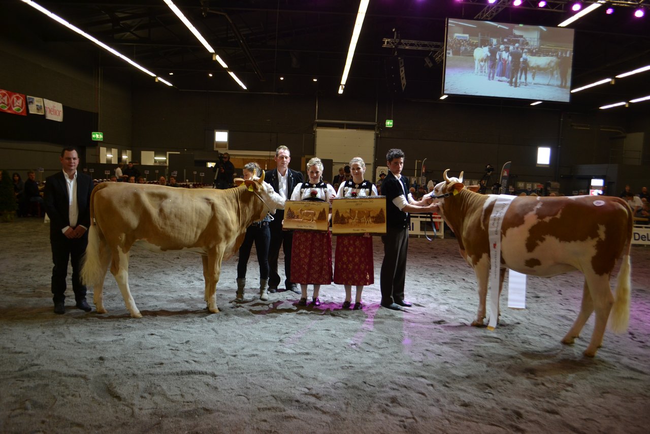 Siegerrind wurde Benito Elana (rechts) von Patrik Matti, Turbach BE und die Reserve Chräbsbach Jordan Tinkabelle von Nicole Stähli, Ortschwaben BE.