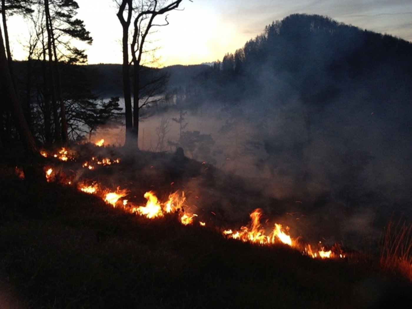 Zum Brand kam es in unwegsamen Gelände. (Bilder Polizei Basel-Landschaft) 