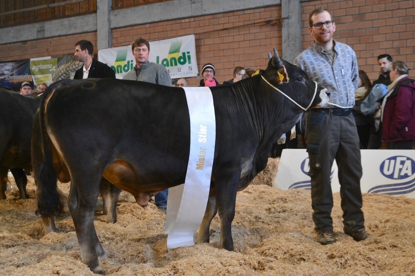 Rambo Fritz war der beste Stier. Er kommt aus dem Stall von Urs Baumgartner aus Marbach LU.