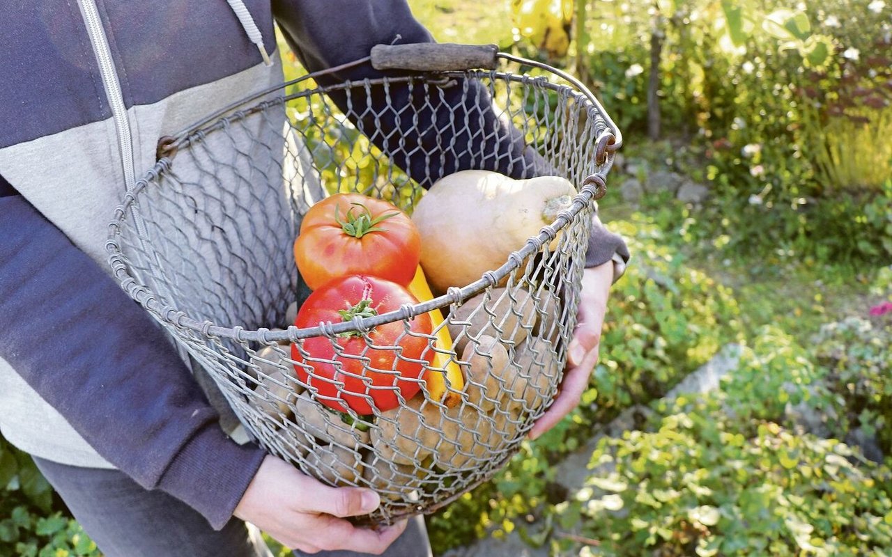 Produkte aus dem Bauerngarten und Naturallieferungen vom Betrieb an den Haushalt senken die Kosten für Lebensmittelzukäufe und können die Teuerung so etwas abfedern. 