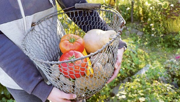 Produkte aus dem Bauerngarten und Naturallieferungen vom Betrieb an den Haushalt senken die Kosten für Lebensmittelzukäufe und können die Teuerung so etwas abfedern. 