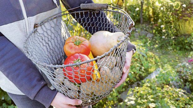 Produkte aus dem Bauerngarten und Naturallieferungen vom Betrieb an den Haushalt senken die Kosten für Lebensmittelzukäufe und können die Teuerung so etwas abfedern. 