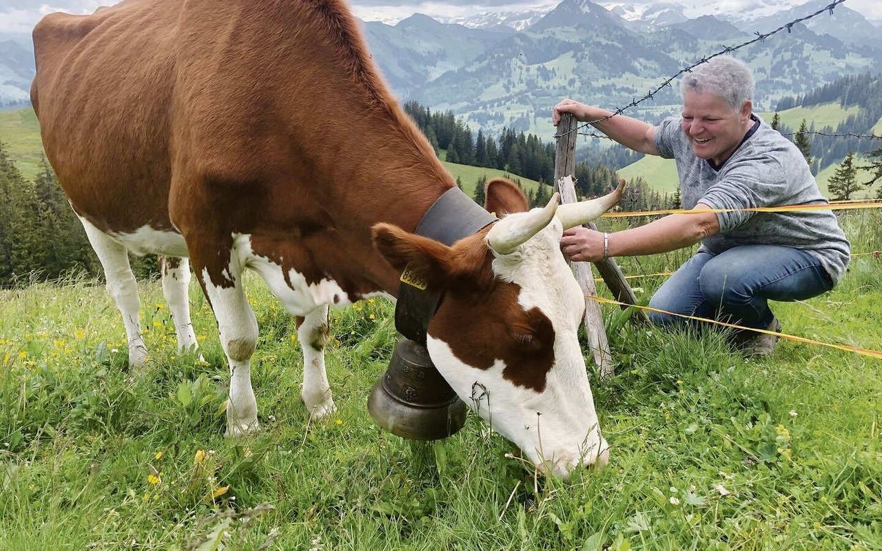 Daniela Renfer aus dem Berner Seeland fährt extra eineinhalb Stunden mit dem Auto, um «ihre» Kuh Roxana auf der Alp Schiltenegg Neuenberg zu besuchen. 
