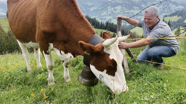 Daniela Renfer aus dem Berner Seeland fährt extra eineinhalb Stunden mit dem Auto, um «ihre» Kuh Roxana auf der Alp Schiltenegg Neuenberg zu besuchen.