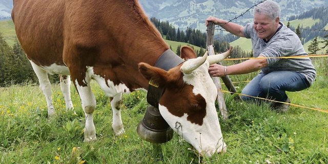 Daniela Renfer aus dem Berner Seeland fährt extra eineinhalb Stunden mit dem Auto, um «ihre» Kuh Roxana auf der Alp Schiltenegg Neuenberg zu besuchen. 