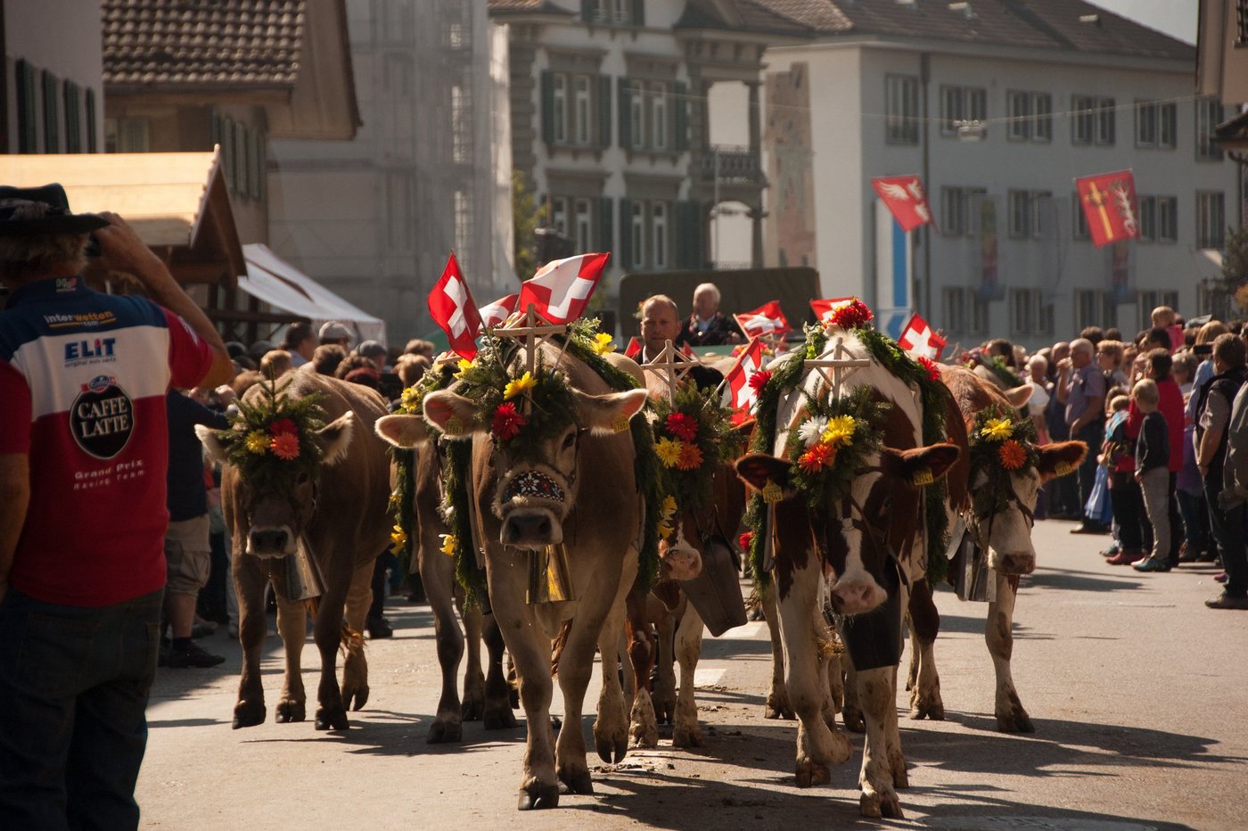 Die Entlebucher Alpabfahrt findet dieses Jahr nicht statt. (Archivbilder BauZ)