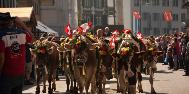 Die Entlebucher Alpabfahrt findet dieses Jahr nicht statt. (Archivbilder BauZ)