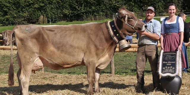 Roland Odermatt aus Hausen am Albis hatte mit seiner Braunviehkuh Tanja einen erfolgreichen Tag. Neben dem Miss Titel holte diese noch drei weitere Titel. (Bilder Reto Betschart)