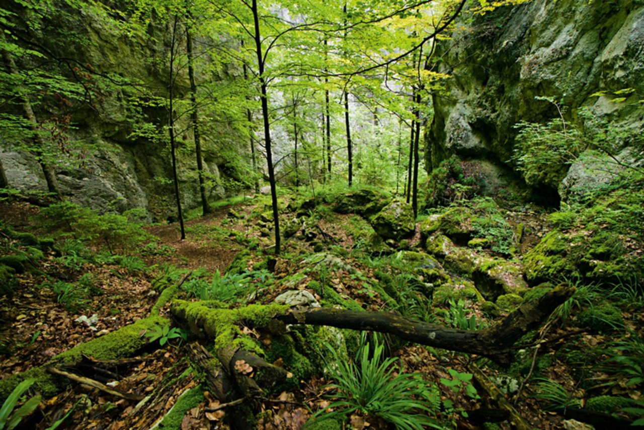Der regionale Naturpark Thal hat für weitere 10 Jahre das Parklabel. (Bild Schweiz Tourismus)