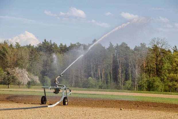 Bewässerung ist beim Anbau von Spezialkulturen unabhängig von der aktuellen Wetterlage. (Bild romü)