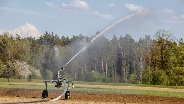 Bewässerung ist beim Anbau von Spezialkulturen unabhängig von der aktuellen Wetterlage. (Bild romü)