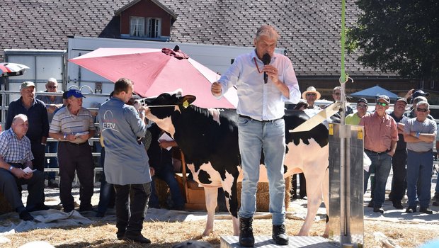 Das gut zweijährige Rind Fankusers Brewmaster -E Julia von Ueli Aeschlimann, Trub BE, ging für 4000 Franken an einen neuen Besitzer.
