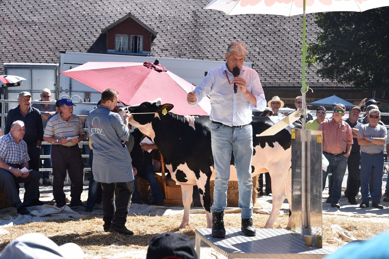 Das gut zweijährige Rind Fankusers Brewmaster -E Julia von Ueli Aeschlimann, Trub BE, ging für 4000 Franken an einen neuen Besitzer.