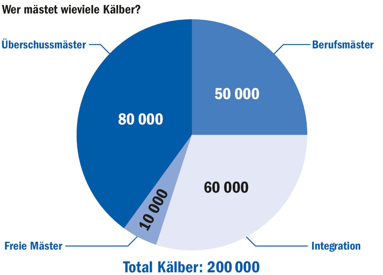 200 000 Kälber gehen in der Schweiz in die Kälbermast. Dabei mästen die Überschussmäster den grössten Anteil, und unabhängige Mäster, die Milchnebenprodukte verfüttern, den kleinsten. (Grafik BauZ)