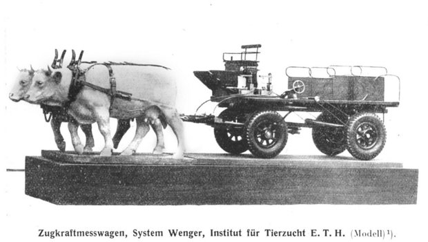 Das Modell des an der ETH entwickelten Zugkraft-Messwagens, den Hans Wenger benutzte. Der Agronom untersuchte im Rahmen seiner Dissertation die Zugleistung von Rindern. 
