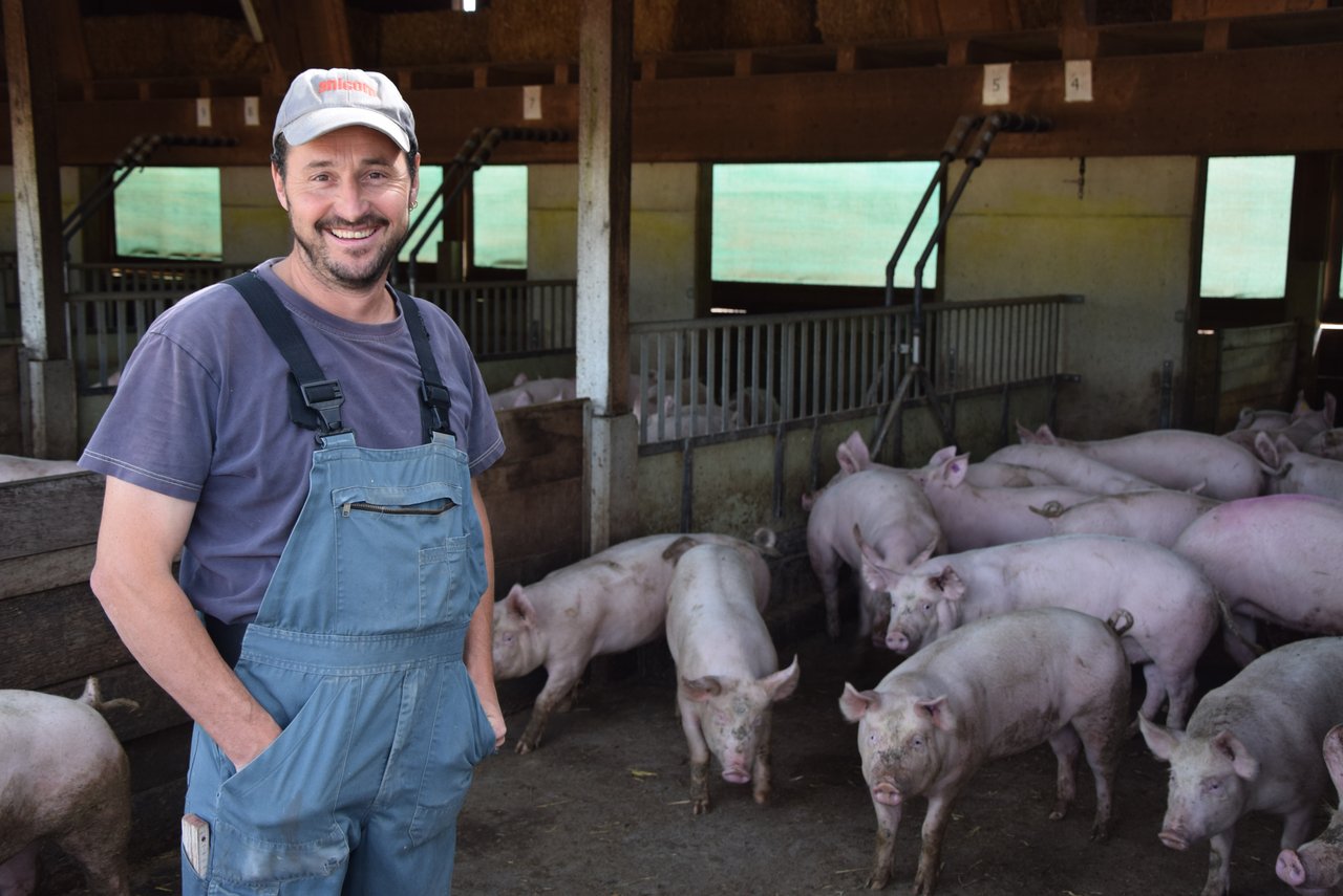 Samuel Bütikofer ist Schweinebauer in Kleinbösingen FR. Er setzt das Produkt Kopros der Firma Bioma erst seit wenigen Monaten ein und ist voll zufrieden. (Bilder Katrin Erfurt)