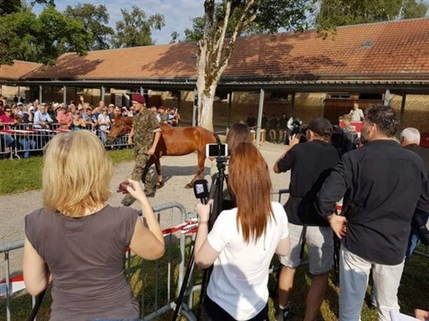 Hier ein Bild der ersten Auktion in Zollikofen. (Bild sb)