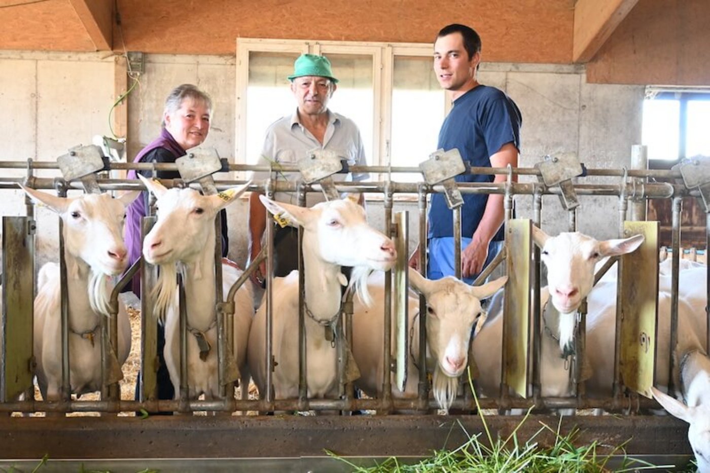 «Wir würden die Sanierung wieder machen», sagt Daniel Bachmann (rechts). (Bild Jasmine Baumann)