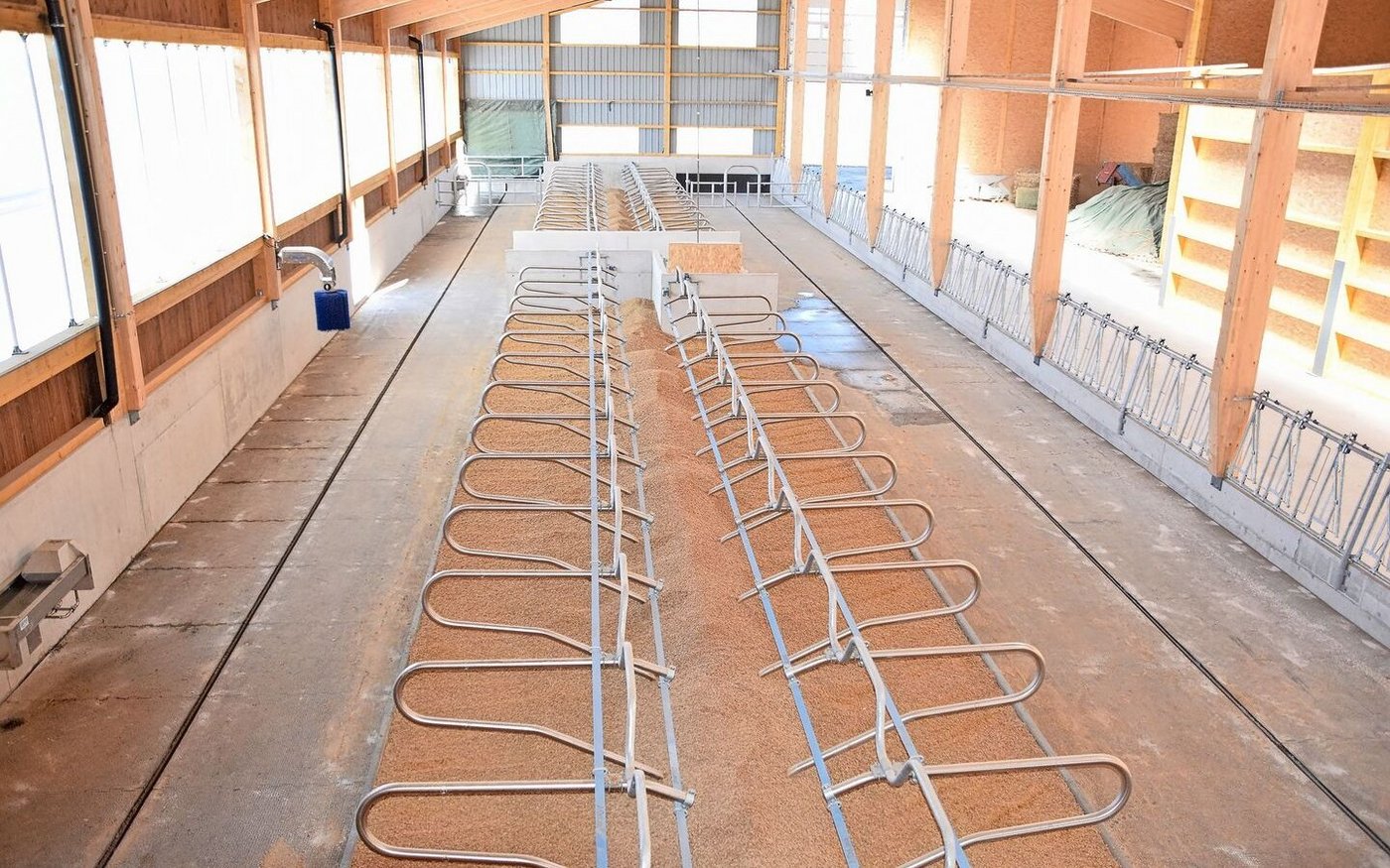 Alles noch frisch und sauber: Die Boxen werden mit 10 cm Sand und anschliessend mit Strohwürfeln gefüllt. 