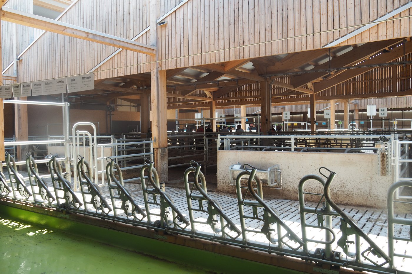 Der Stall ist so konzipiert, dass verschiedene Haltungsformen möglich sind.