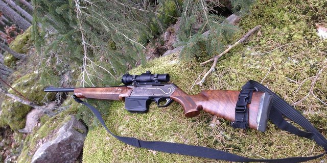 Es gibt mehr als die öffentlich bekannten Fälle von Wilderei, glaubt die Gruppe Wolf Schweiz. Oft gebe es aber keine Spuren. (Bild ulfake76/Pixabay)