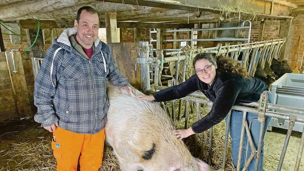 Andreas Hirschi, Esther Hürlimann und Johnny. Der 435 kg schwere, 4-jährige Eber ist nun auf dem Hof Biseggmatte, wo er als Deckeber bis zu seinem Lebensende verbleiben wird. 