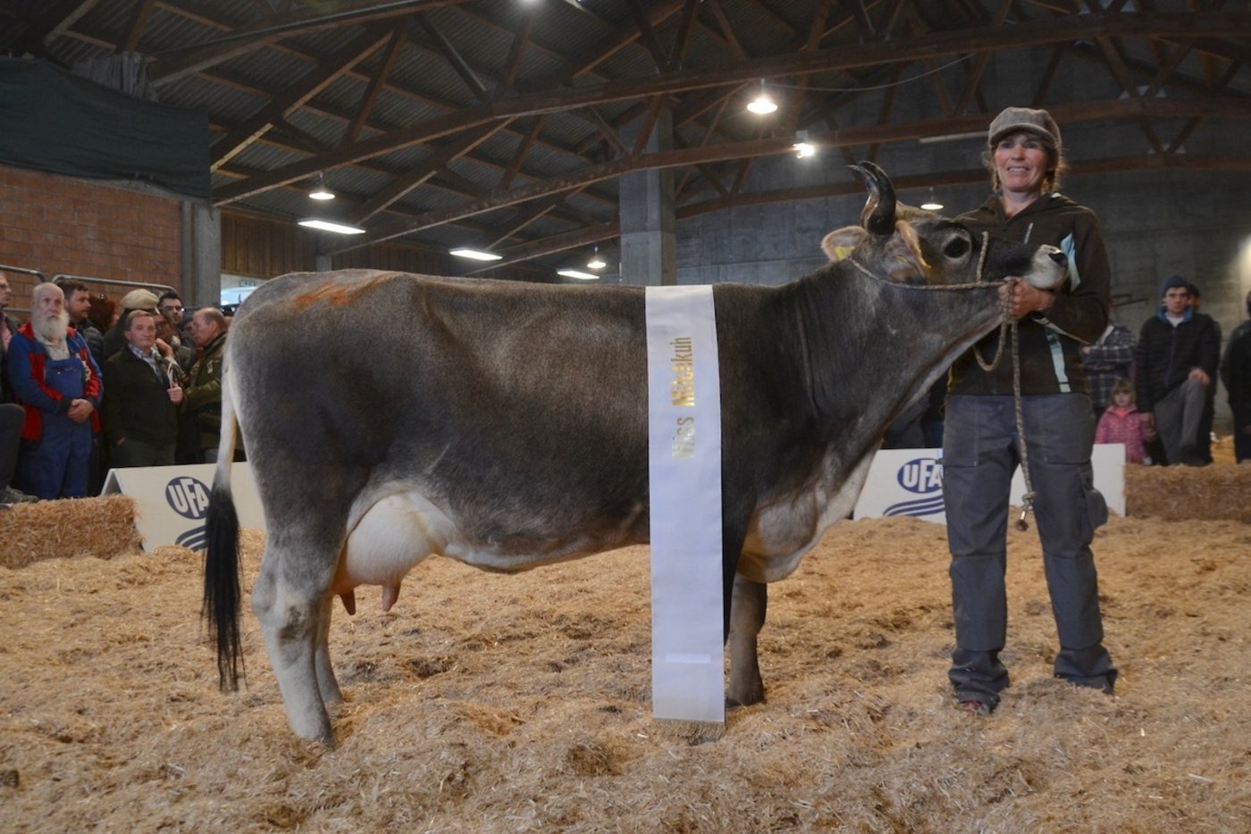 Merlus Alaska von Anna Büschlen aus Adelboden BE wurde zur Rätischen Miss Milchkuh gekürt.
