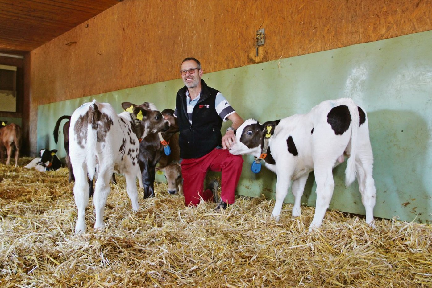 Franz Hagenbuch ist Munimäster und Swiss-Beef-CH-Präsident. Als solcher verlangt er von Swissgenetics, dass bei den Fleischrassenstieren leichtere und frühreife Stiere ausgewählt werden.(Bild  Sebastian Hagenbuch)