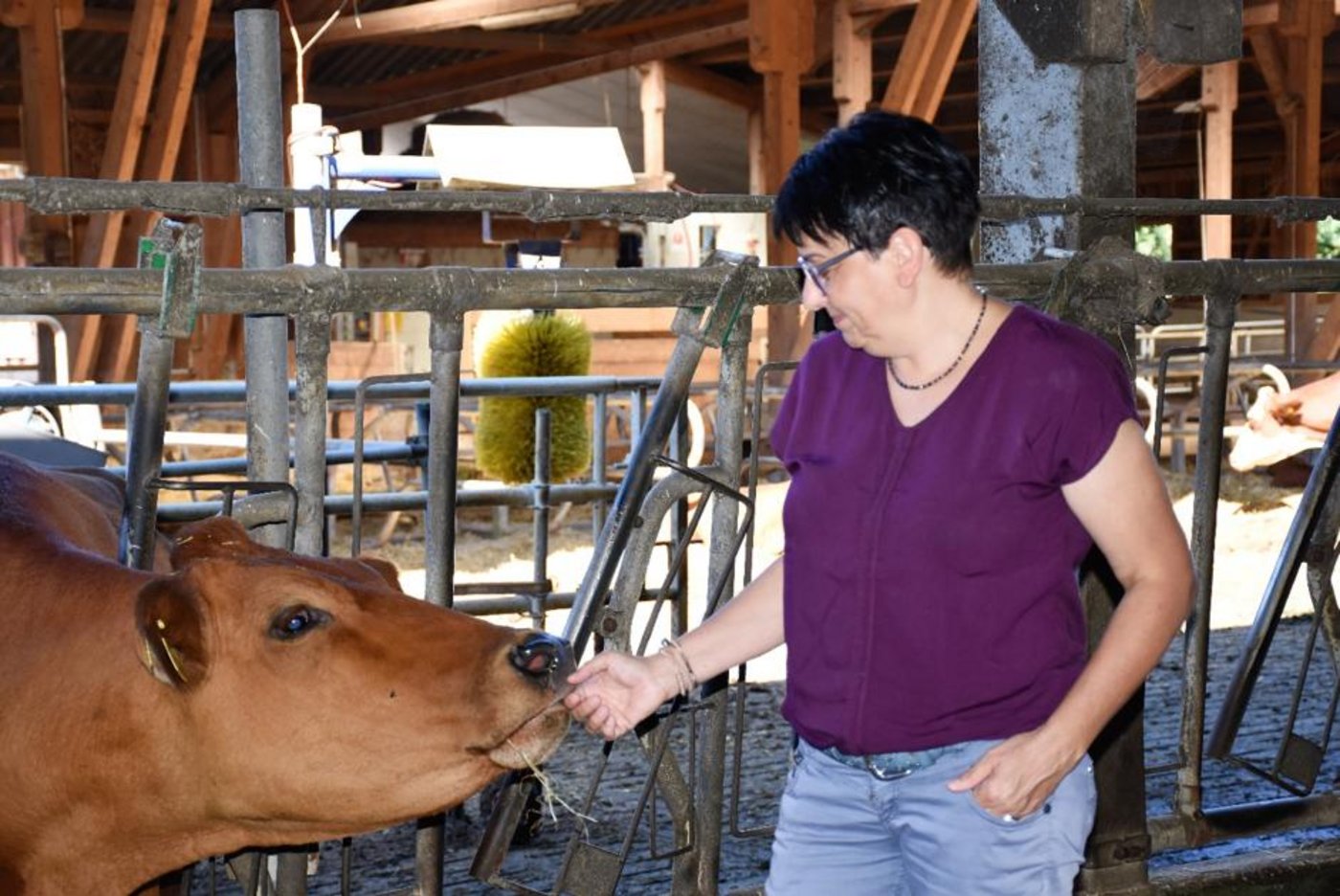 Die Aargauer Bäuerin Birgit Suter hat zur Prophylaxe von Krankheiten gute Erfahrungen mit Tannenästen im Stroh gemacht. (Bild SBLV)