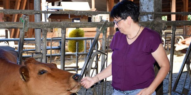 Die Aargauer Bäuerin Birgit Suter hat zur Prophylaxe von Krankheiten gute Erfahrungen mit Tannenästen im Stroh gemacht. (Bild SBLV)