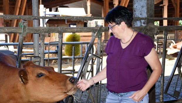 Die Aargauer Bäuerin Birgit Suter hat zur Prophylaxe von Krankheiten gute Erfahrungen mit Tannenästen im Stroh gemacht. (Bild SBLV)