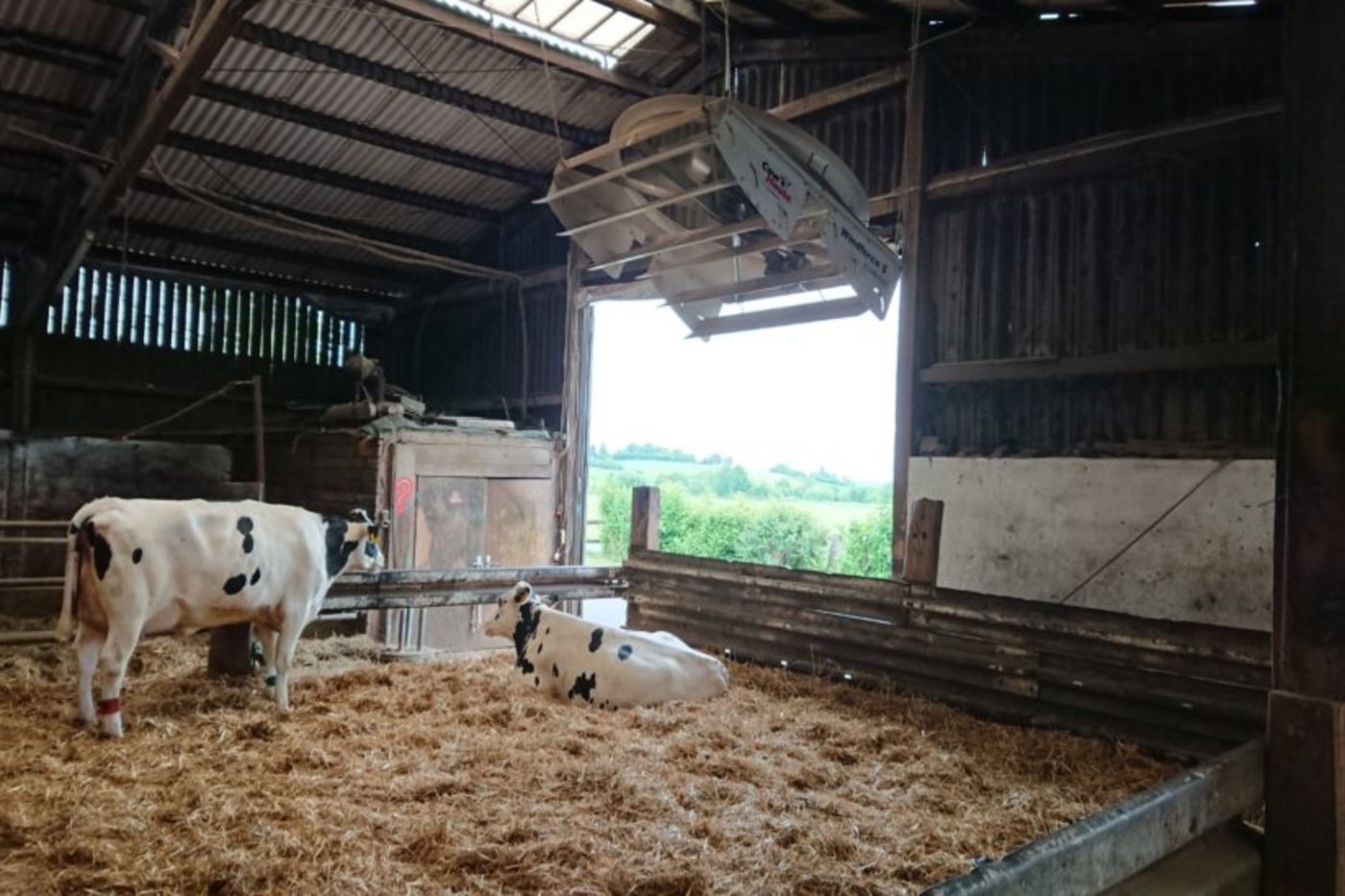 Technische und mechanische Lüftungen beeinflussen die Innentemperatur viel stärker als die Gebäudeform oder Orientierung. (Bild Möcklinghoff-Wicke /landwirt-media.com)