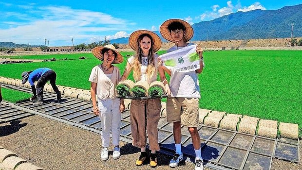 Die traditionellen K Die traditionellen Kegelhüte spenden Schatten bei der Arbeit im Reisfeld. Reis wird zweimal jährlich gepflanzt.