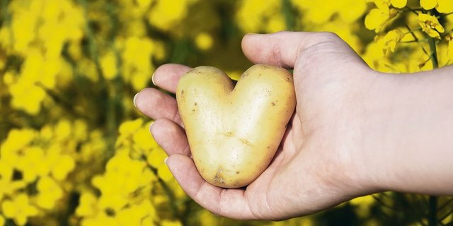 Passen Traum und Realität zusammen? 