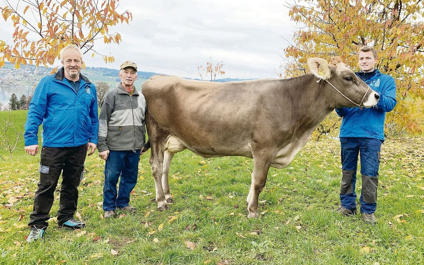 Betriebsleiter Albert, Vater Sepp und Sohn Kilian Gössi mit der dreijährigen Kuh Sina (V: Salomon). Sie wird an der Lucerne Expo gezeigt, war schon Abteilungssiegerin an der Herbstschau in Weggis und ist mit 84 Punkten linear beurteilt. 
