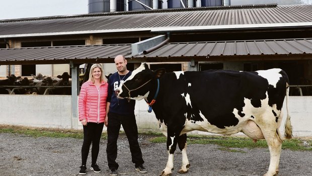 Colin-Tochter Arbona war die erste Holsteinkuh, die Daniela und Peter Keller an der Aargauer Auktion gekauft haben. (Bild Ruth Aerni)