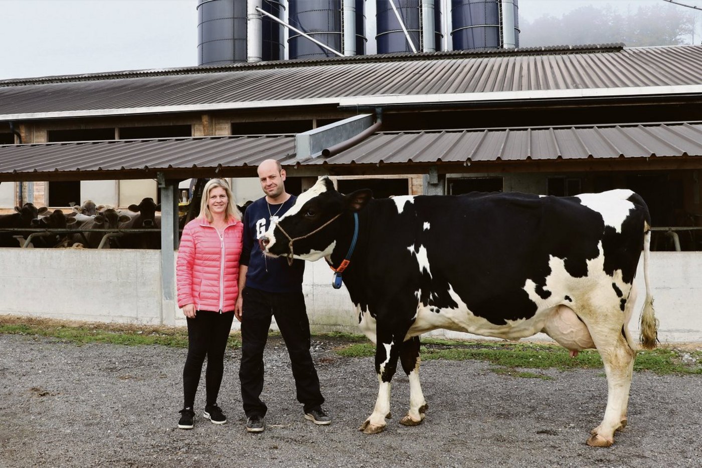 Colin-Tochter Arbona war die erste Holsteinkuh, die Daniela und Peter Keller an der Aargauer Auktion gekauft haben. (Bild Ruth Aerni)