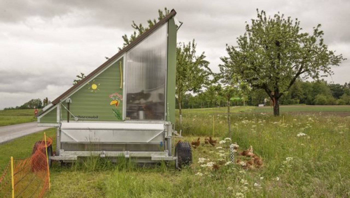 Erfüllt RAUS und BTS: der mobile Hühnerstall.