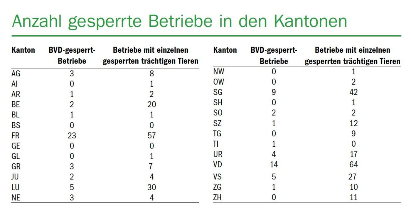 Nebst den 80 gesperrten Betrieben, haben 333 Betriebe einzelne verbringungsgesperrte trächtige Tiere im Bestand.