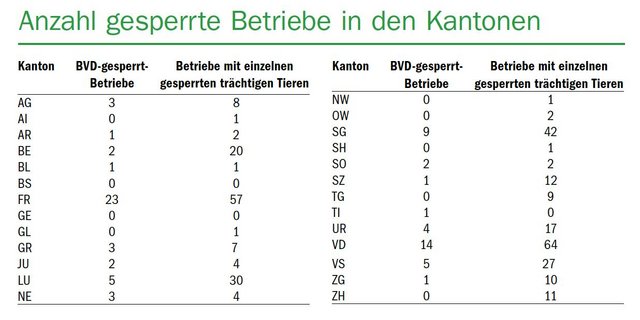 Nebst den 80 gesperrten Betrieben, haben 333 Betriebe einzelne verbringungsgesperrte trächtige Tiere im Bestand.