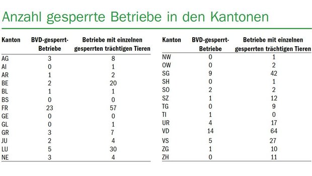 Nebst den 80 gesperrten Betrieben, haben 333 Betriebe einzelne verbringungsgesperrte trächtige Tiere im Bestand.