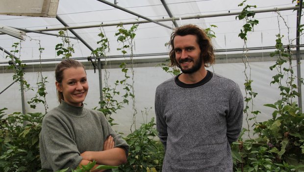 Vera Kessens und Samuel Kessens haben den Bio-Gemüsebetrieb auf Neujahr 2020 übernommen. Sie erlebten einen stürmischen Start. (Bilder Hans Rüssli) 