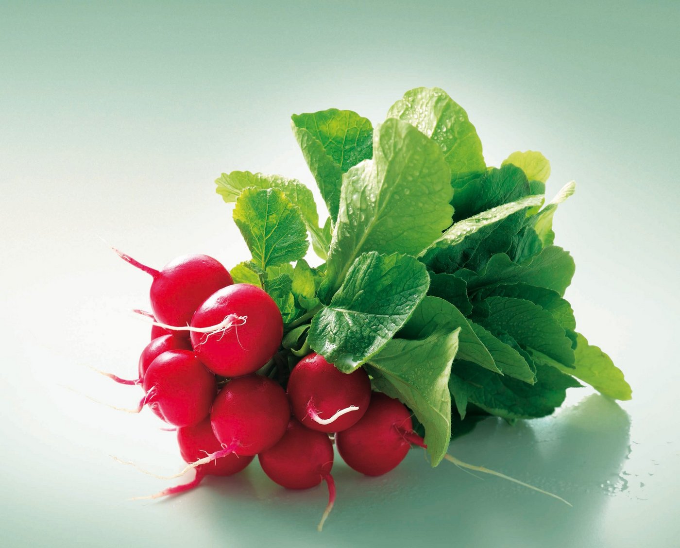 Radieschen werden meist roh gegessen – in Schneiden geschnitten oder geraspelt. (Bild VSGP)