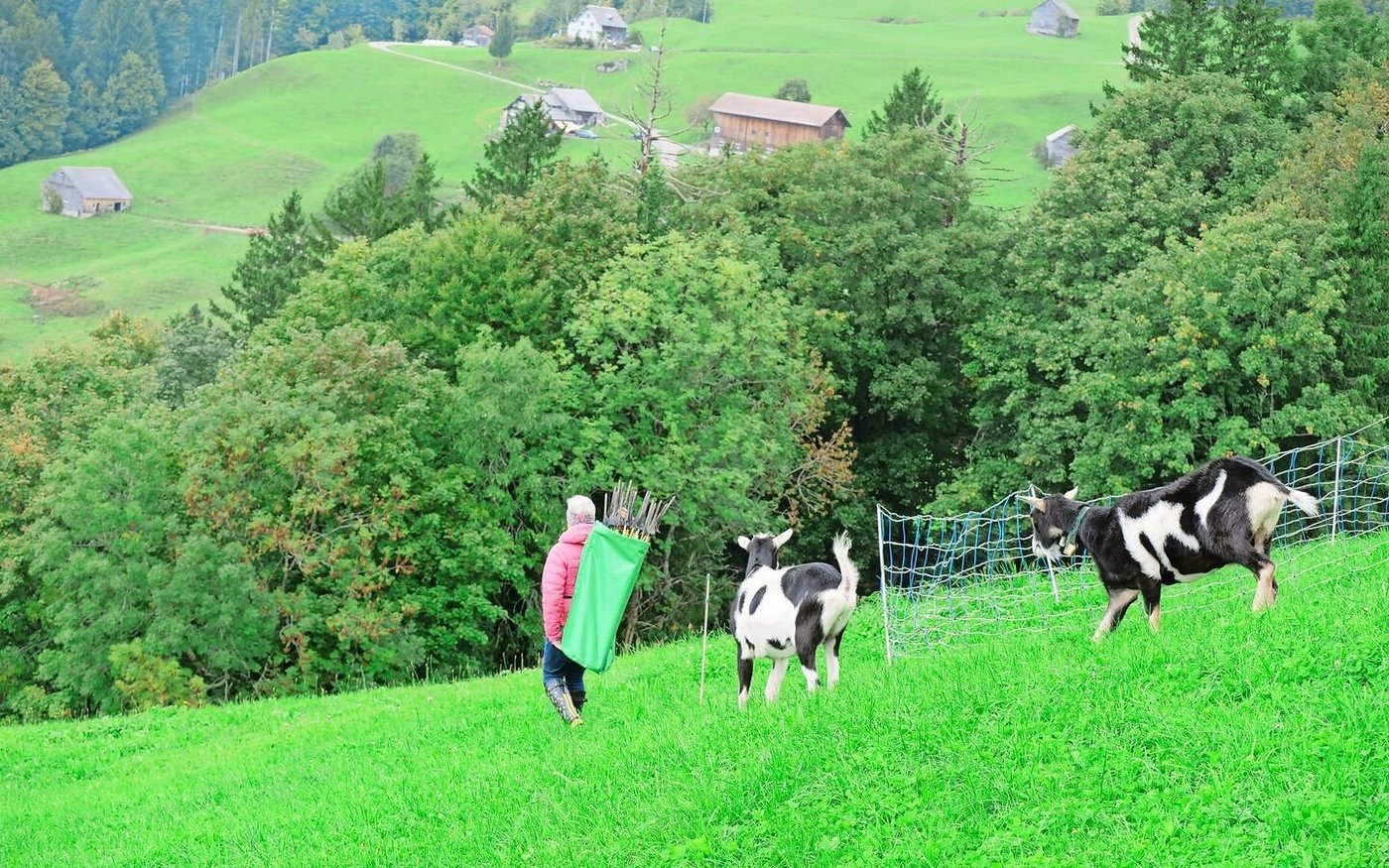 Viele Flächen von Familie Thoma liegen am Hang.