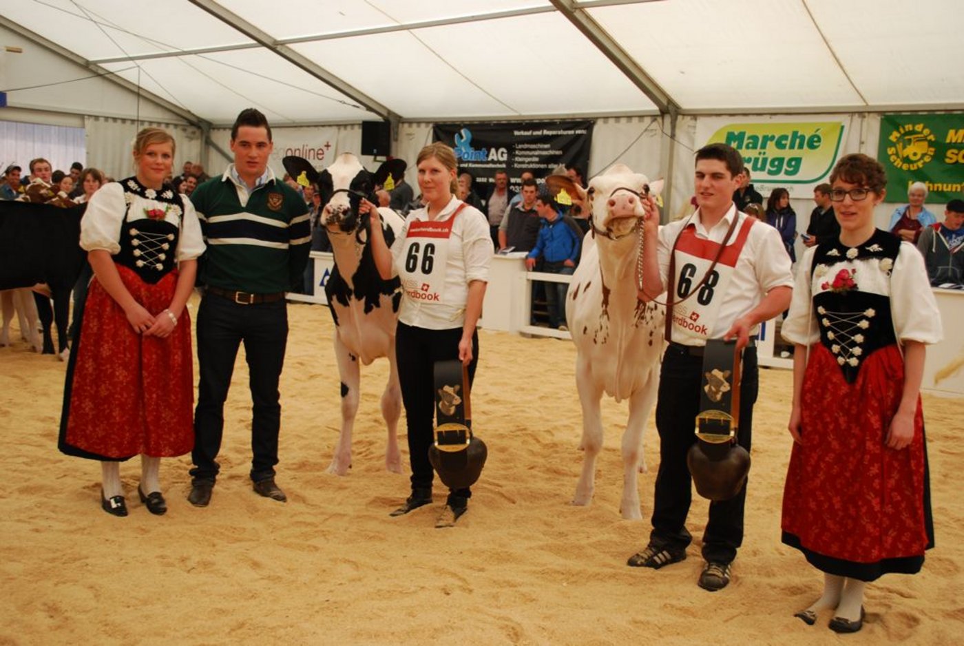 Bei den Rindern holte sich Schurtis Acme Honey (links) von Helen Wahlen aus Boll BE den Titel. Reserve wurde Allegro Canaria von Beat Wittwer aus Utzigen BE.
