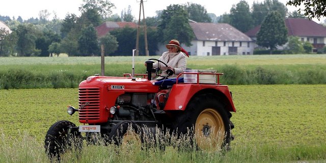 Ein Grossteil der Bäuerinnen nehmen sowohl auf dem Betrieb wie auch im Haushalt viele Aufgaben. (Bild Pixabay)